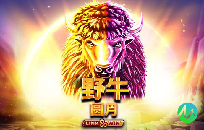 星空无限传媒官网星媒体网站